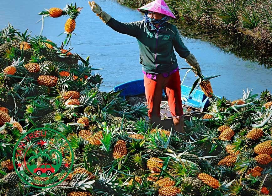 Thuê xe đi Hậu Giang cùng Tân Triều Travel