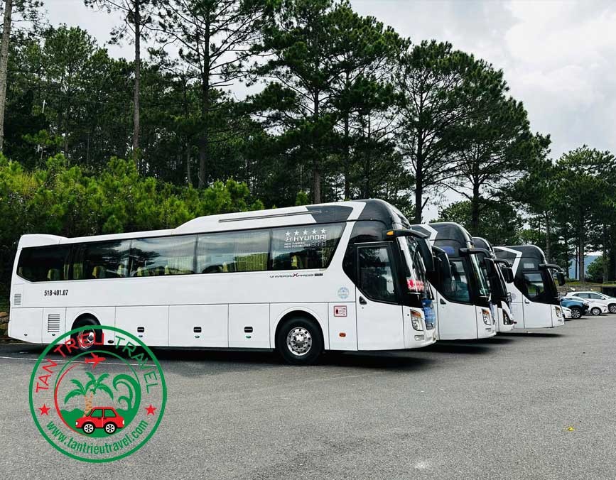 Thuê xe 45 chỗ đi Teambuilding Đà Lạt
