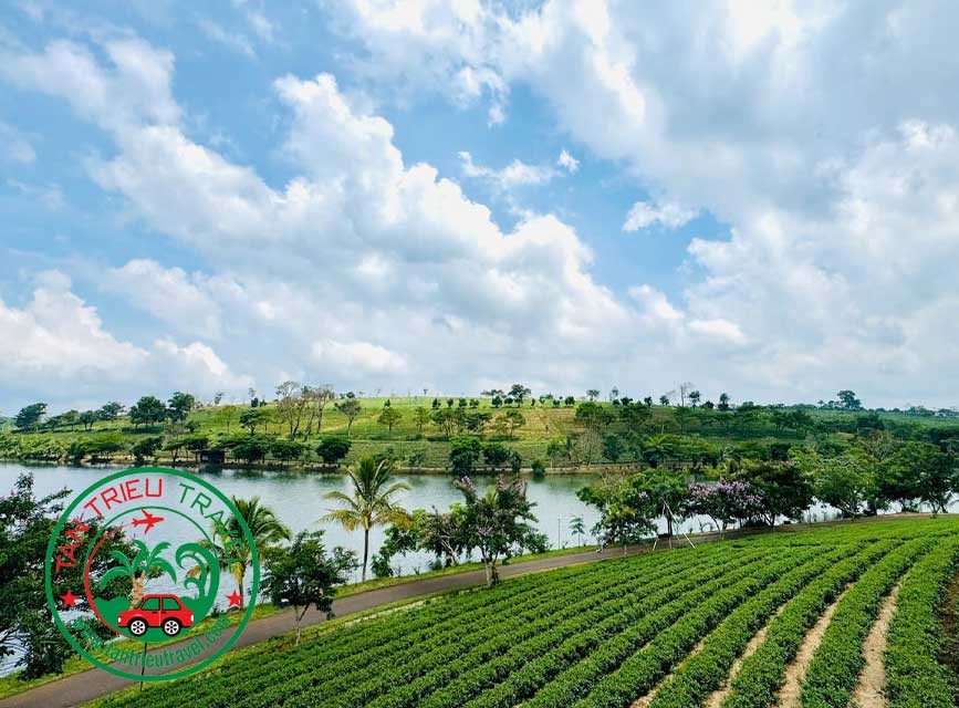 Cho thuê xe 29 chỗ đi Bảo Lộc