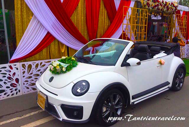 Thuê xe hoa cưới bọ cổ mui trần Volkswagen