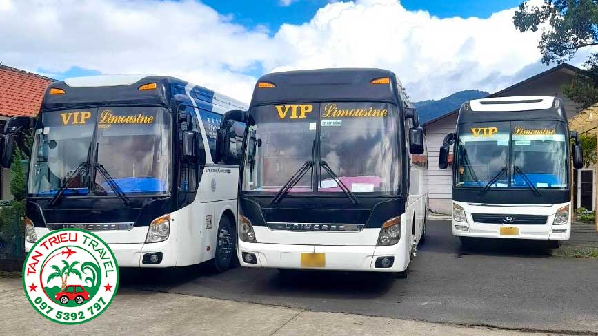 Cho thuê xe du lịch tham quan trong và ngoài tỉnh tại Bình Tân