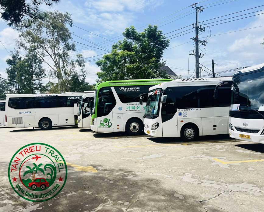 Đa dạng các dòng xe 29 chỗ