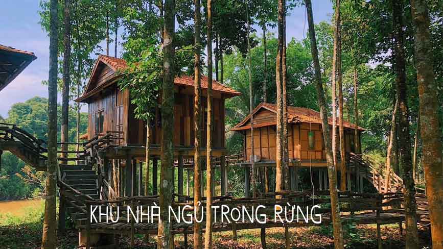 Green Bamboo - Khu resort ngủ trong rừng
