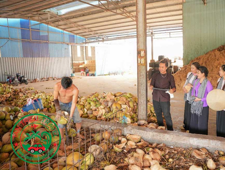 Tham quan xưởng sơ chế dừa để làm đồ Mỹ Nghệ