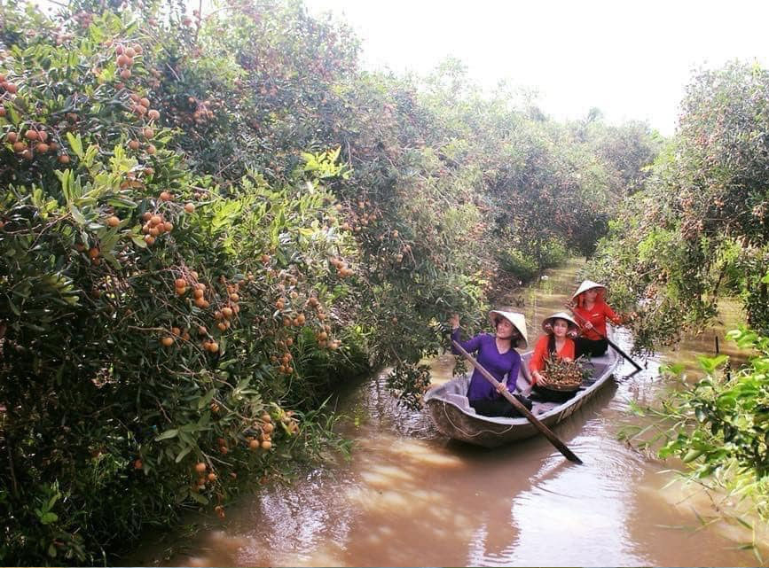 Tour tham quan miệt vườn Cần Thơ