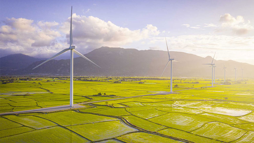 Những bức ảnh đẹp của điện gió Đầm Nại