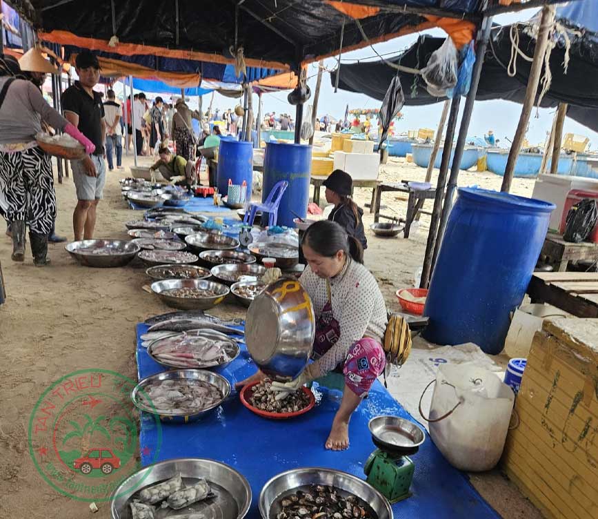 Dịch vụ cho thuê xe đi La Gi