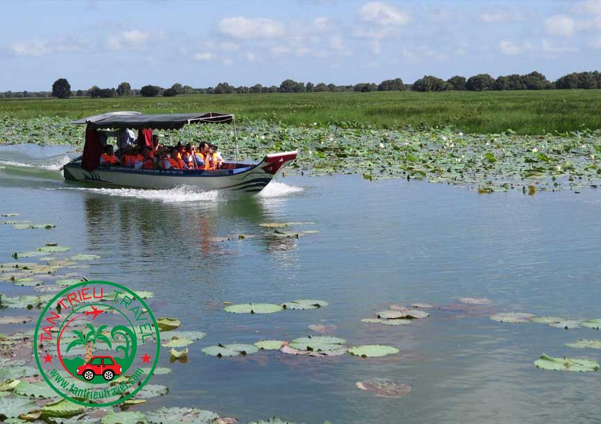 Đi thuyền trong Tràm Chim