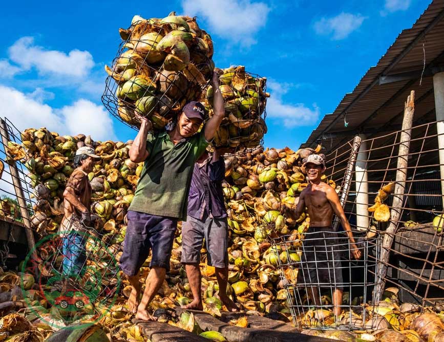 Cho thuê xe du lịch đi Bến Tre giá rẻ