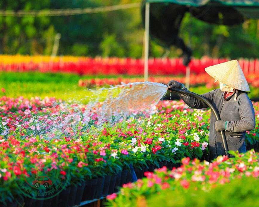 Đặt xe du lịch giá rẻ đi Cao Lãnh