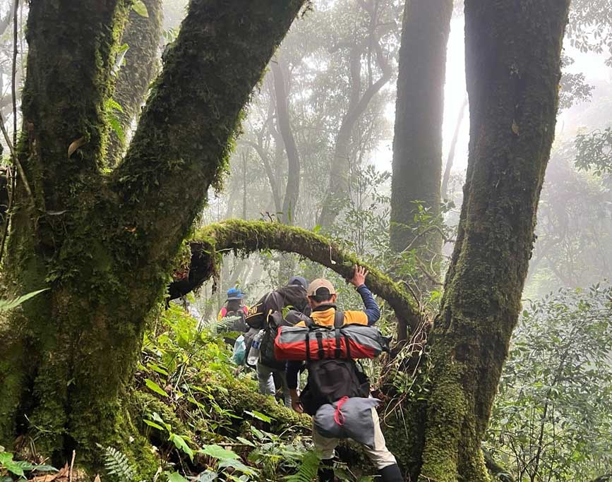 Khám phá núi rừng thiên nhiên