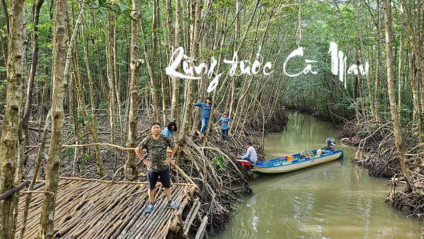 Rừng Đước Cà Mau, khu sinh quyển ngập mặn lớn nhất Việt Nam