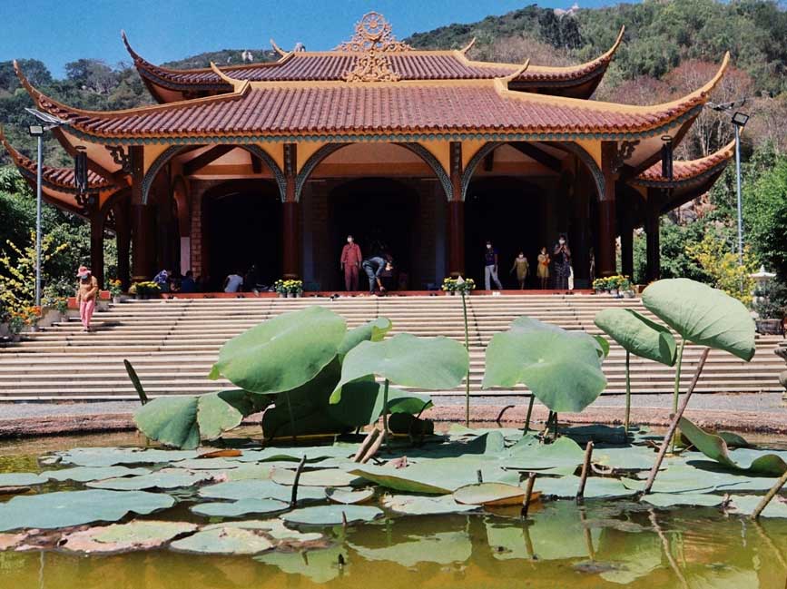 Hoa Quả Sơn tại Long Hải Vũng Tàu