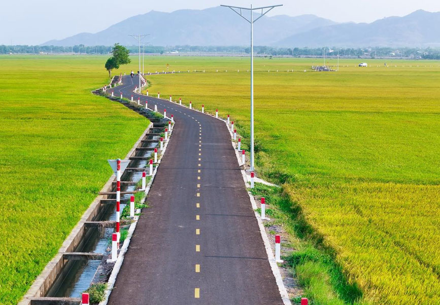 Con đường như tấm lụa chạy dài xen kẻ màu xanh-vàng của đồng lúa