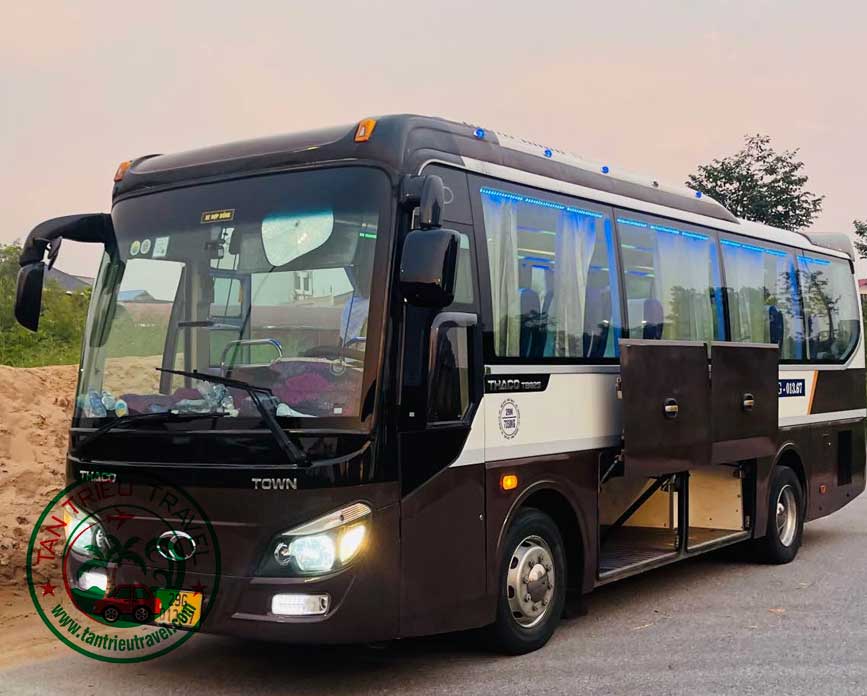Nhiều dòng 29c cho chọn lựa của bạn