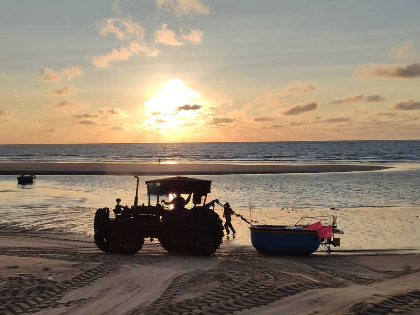 Xem những chiếc xe đầu kéo, kéo những thúng cá vào bờ vào buổi sáng