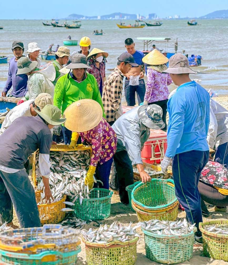 Chợ Cá tự phát tại bãi biển vào buổi sáng