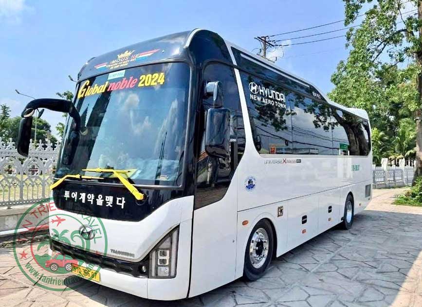 Xe 29 chỗ Hyundai Global