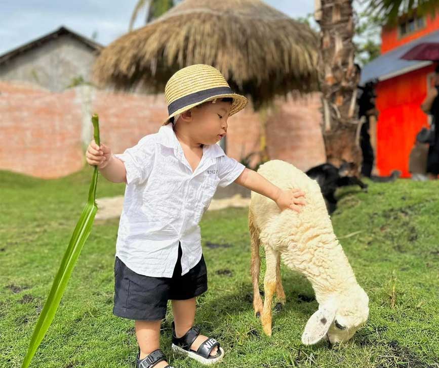 Thuê xe đi mùa hè cho các bé có thời gian vui chơi tại vườn thú