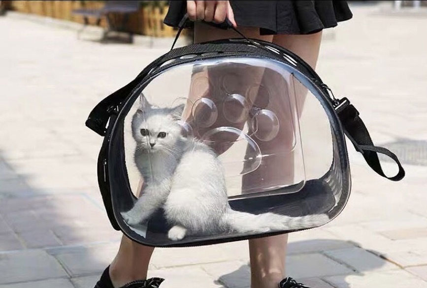 Mang theo túi chuyên dụng để hạn chế di chuyển trên xe