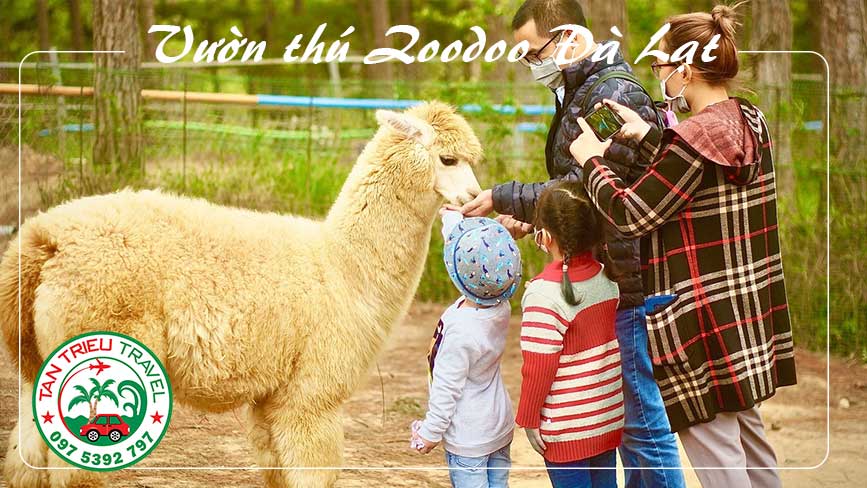 Sở thú zoodoo nơi vui chơi của trẻ em khi đến Đà Lạt