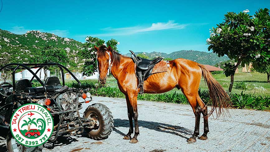 Bạn muốn cưỡi ngựa hay đi xe địa hình chinh phục thảo nguyên Tanyoli