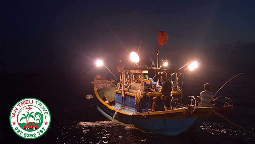 Câu mực đêm, thú vui mới khi đi du lịch tại Mũi Né Phan Thiết