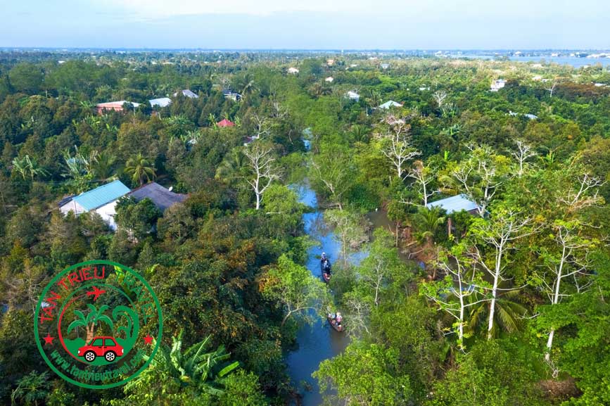 Chèo thuyền trên sông