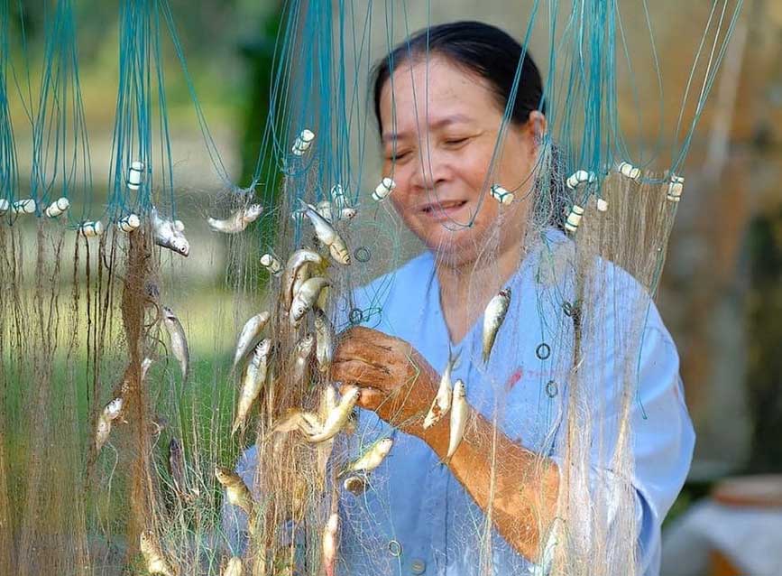 Cá Linh biểu tượng của mùa nước nổi