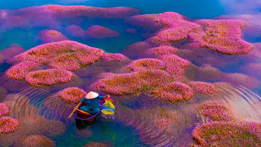 Hồ Tảo Hồng như 1 bức tranh thủy mạc độc đáo tại Bảo Lộc