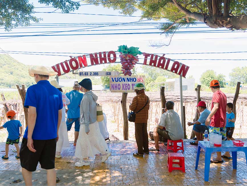 Đặt xe đi Vĩnh Hy từ Sài Gòn