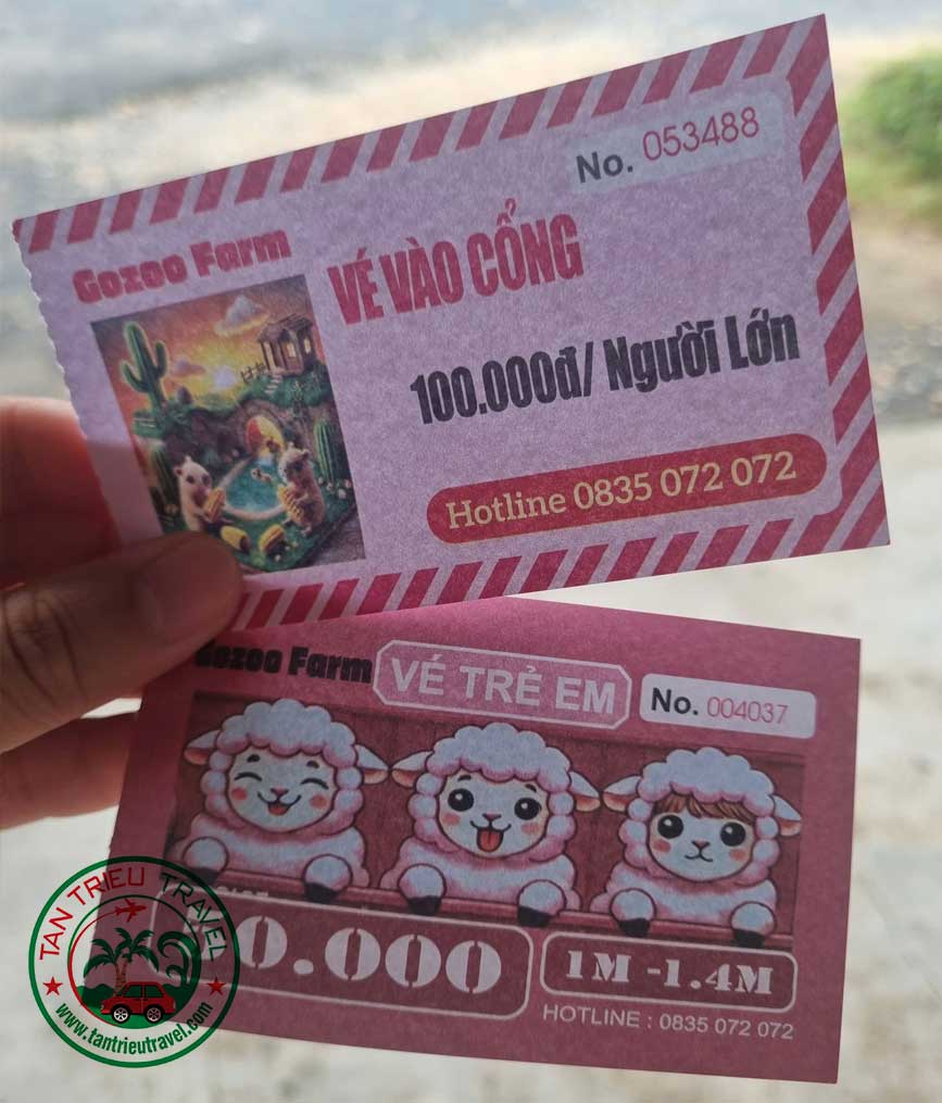 Cập nhật giá vé 2025