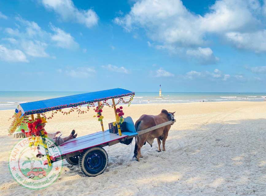 Trải nghiệm ở biển Cam Bình