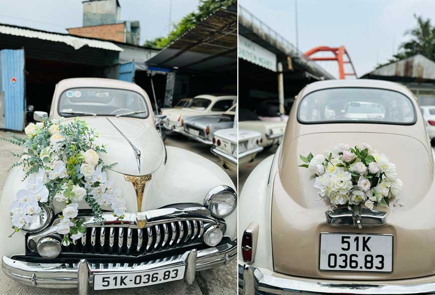 Mẩu Lan trắng và hồng nhạt