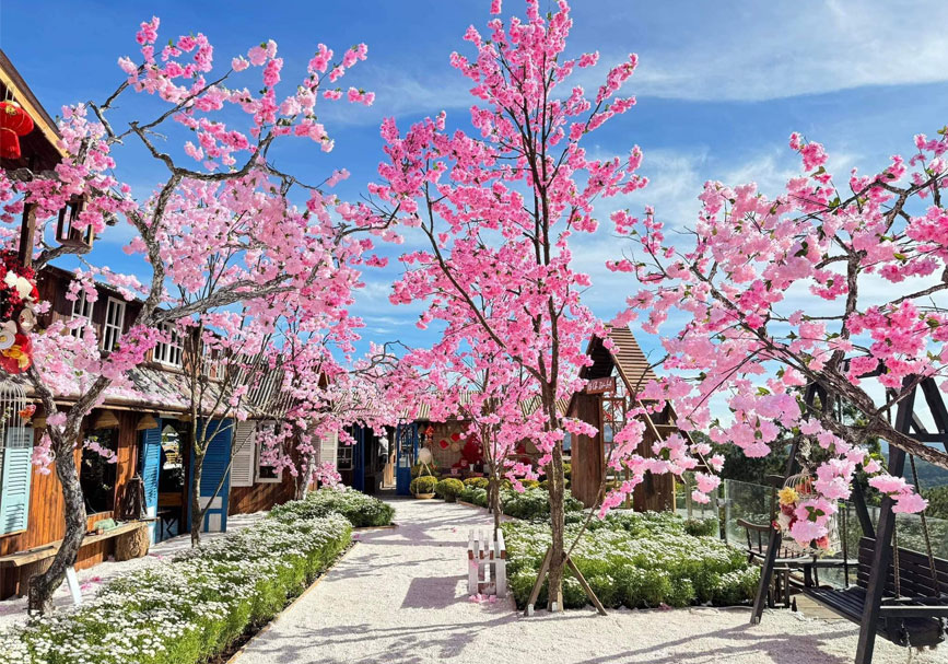 Không gian tuyệt vời cho buổi sáng check in và săn mây