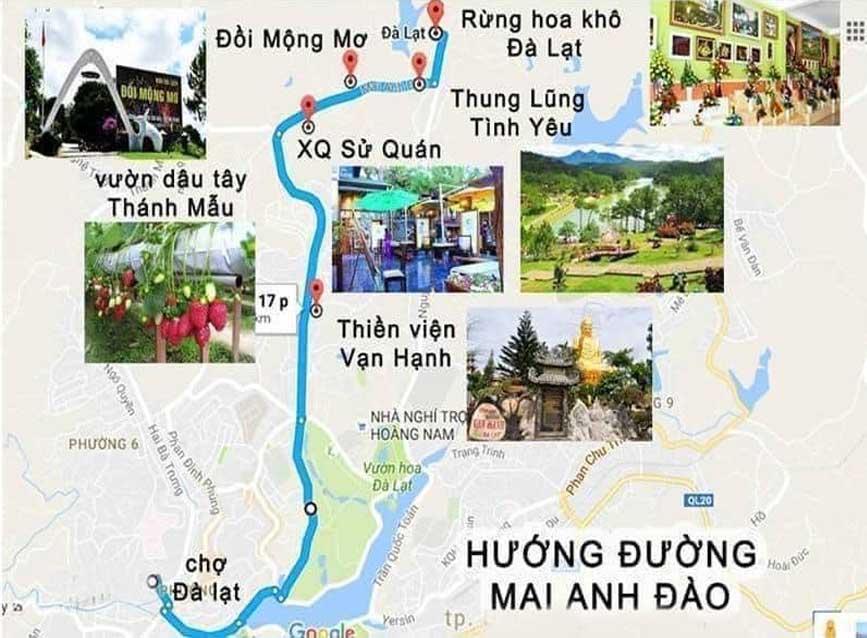 Thuê xe đi Đồi Mộng Mơ Đà Lạt