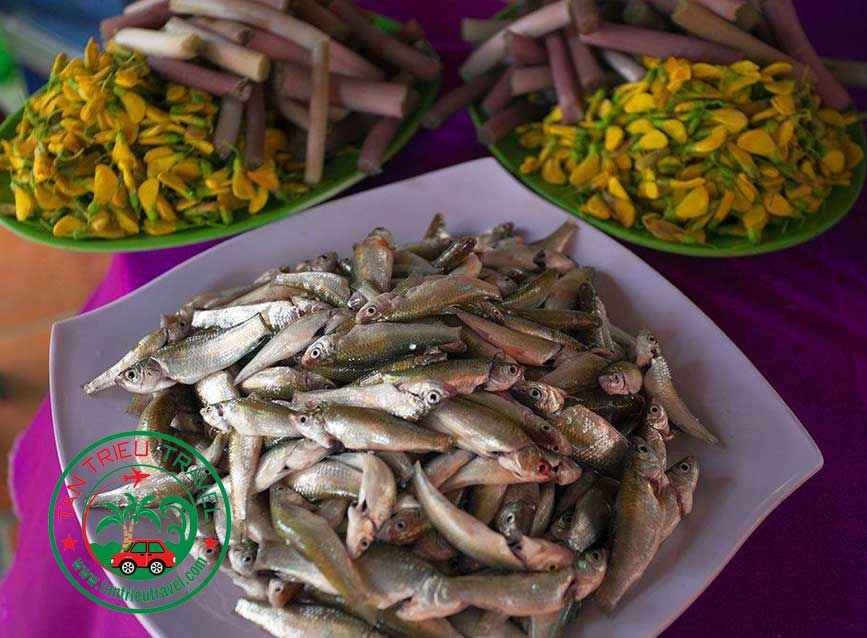 Kết hợp của cá linh và bông điên điển