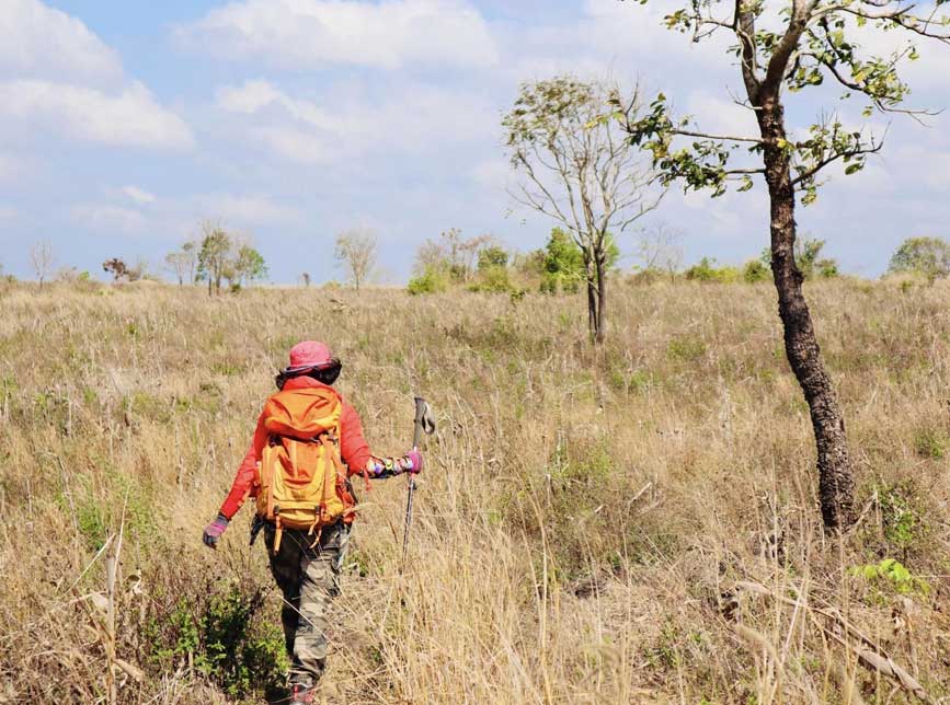 Trekking qua cánh đồng để đến hang núi lửa