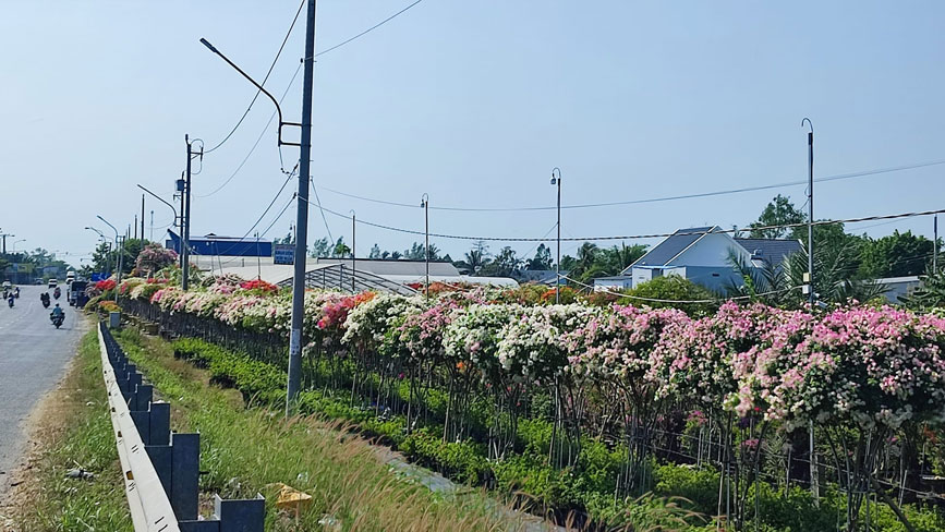 Đường đi Làng Hoa Sa Đéc