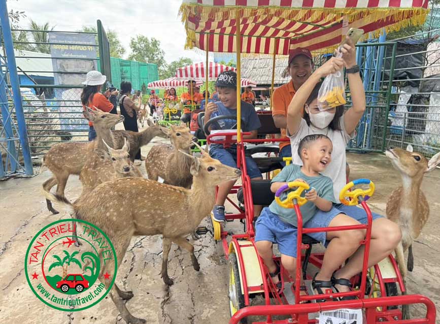 Tham quan vườn thú mở