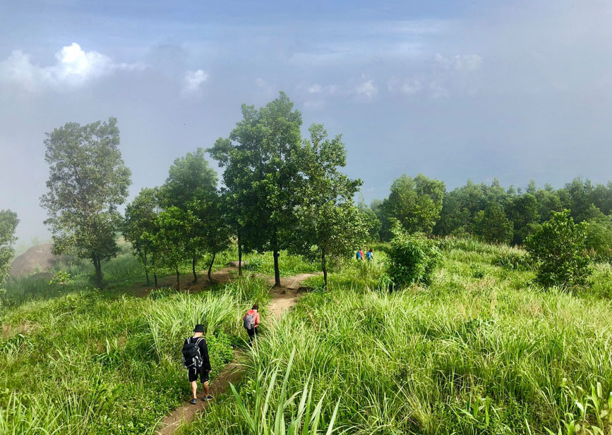 Trekking băng qua khu cỏ lau sậy