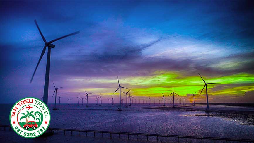 Cánh đồng điện gió lớn nhất của cả nước tại Bạc Liêu
