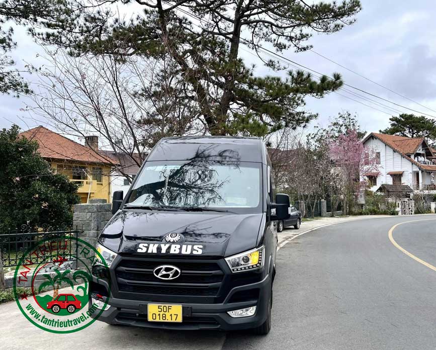 Dòng Hyundai Solati cho xe limousine