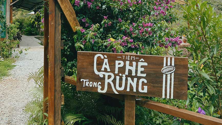 Thưởng thức cafe trong rừng 