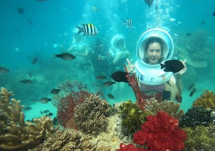 Đi bộ dưới đáy biển