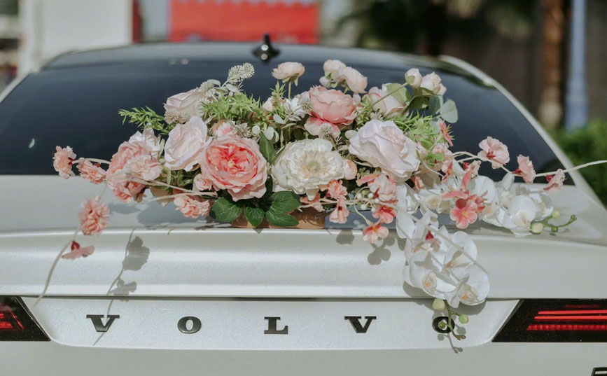 Chút sắc hồng làm tô điểm trên nền xe trắng